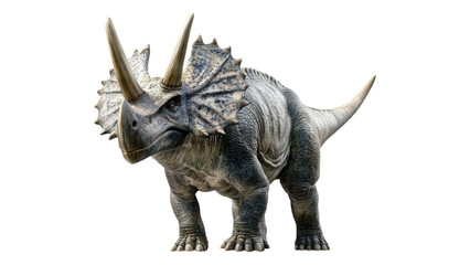 Fototapeta premium Triceratops Illustration, vibrant depiction of a Triceratops with prominent horns, set against a clean white backdrop, ideal for educational use