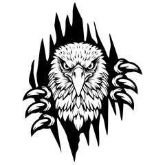 Eagle Claw | Eagle | Eagle Scratch | Wild Eagle | Flying Predator | Bald Eagle | Wild Animal | Sharp Claw Eagle | Original Illustration | Vector and Clipart | Cutfile and Stencil
