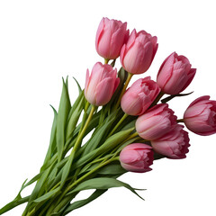 Obraz premium bouquet of tulips