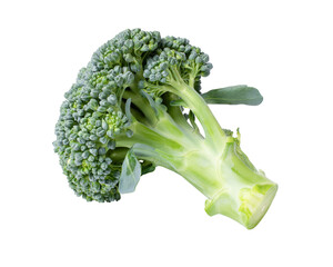 broccoli isolated on white background