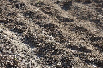 furrowed appearance of plowed soil