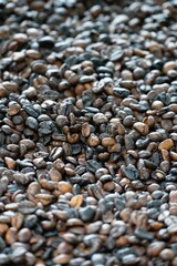 Close-up of roasted coffee beans with glossy texture.