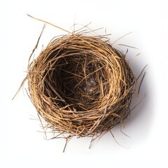 Close-up of a bird nest isolated on a white background for marketing campaigns