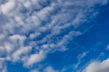 Fototapeta premium clouds in the blue sky