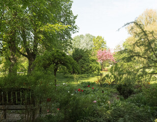 Obraz premium Green ornamental garden in spring, trees of different colors, plants and flower beds, green lawn.