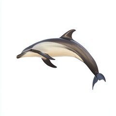 Fototapeta premium Dolphin isolated on white background for marketing campaigns