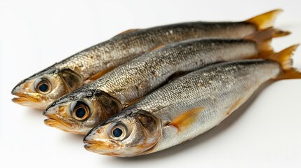 Obraz premium Three fresh sprats lying side by side with small gaps in between on a clean white background, highlighting their silver bodies and delicate texture, ideal for culinary use and seafood dishes.