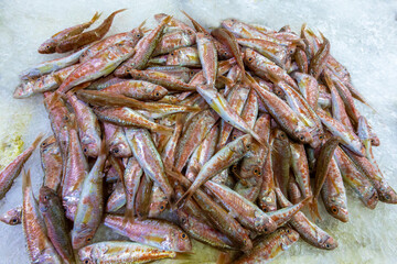 Foca, Türkiye - Eski Foca, a town on the Aegean coast, fresh seafood from the fish market.