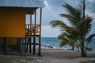 Fototapeta premium Yellow Beach Hut and Palm Tree by the Ocean