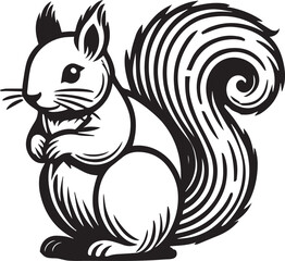 Squirrel vector in black and white