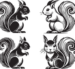Squirrel vector in black and white