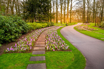 Flowers landscape in Keukenhof, Netherlands