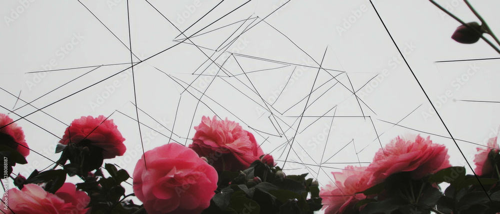 Poster this artwork presents a blend of geometric lines and vibrant flowers, creating an intricate design