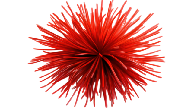 Red spiky sphere exploding on transparent background