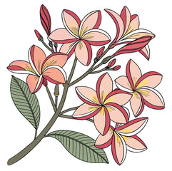 flower-pattern (7).eps