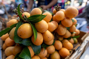A bunch of Bouea macrophylla (commonly known as gandaria, Burmese plum, Marian plum or mango plum) at local market in Thailand
