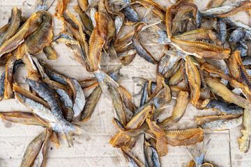 Drying fish at a local market in Thailand
