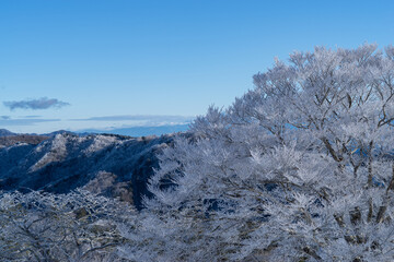 霧氷した木々と冠雪した南アルプスの山々	
