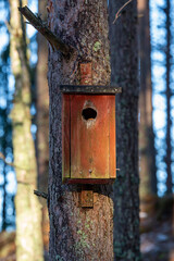 Bird house on tree trunk in forest