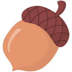 Hand drawn acorn cartoon illustration 