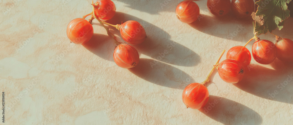 Poster minimalistic scrapbook-style composition featuring gooseberries on textured background