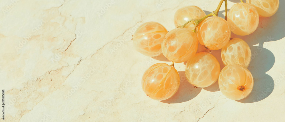 Poster minimalistic scrapbook composition featuring gooseberries on textured background