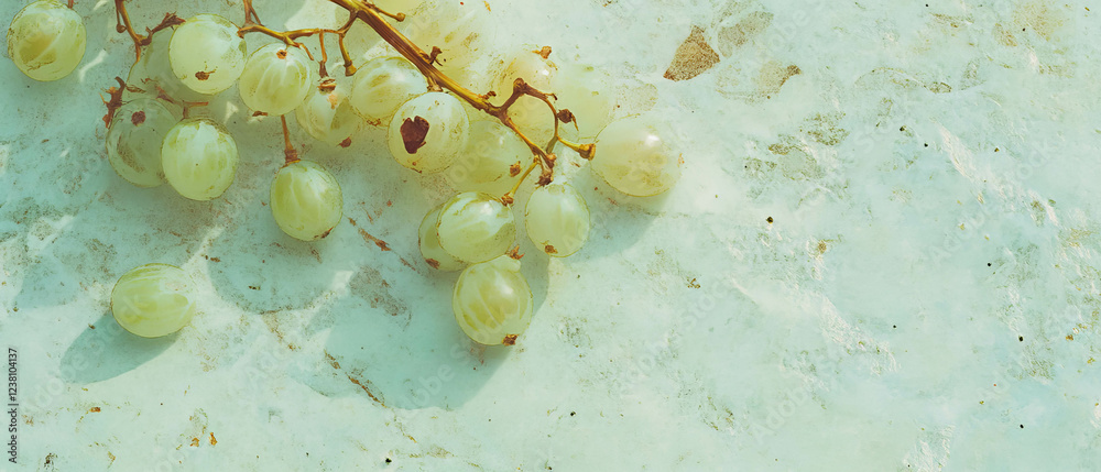 Poster minimalistic scrapbook creation featuring gooseberries on textured backdrop