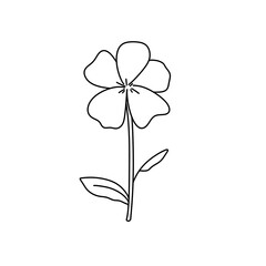 A flower is drawn in black and white