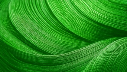 Naklejka premium abstract green wavy lines texture close-up. The smooth curves and vibrant color create a mesmerizing and hypnotic pattern, inviting contemplation and relaxation. 