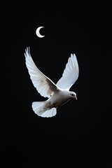 Obraz premium Celestial Ramadan Elegance Dove with Crescent Wings in Moonlight - Eco-Friendly Event Decor and Social Media Campaigns for Cultural Celebrations and Eid Gatherings