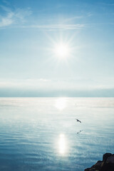 Quand le Lac Respire l’Hiver