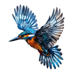 Obraz premium Colorful kingfisher bird in flight with wings spread on a transparent background, detailed illustration of wildlife and nature concept
