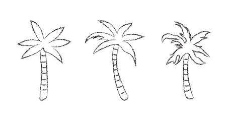 Crayon pencil palm or coconut trees hand drawn chalk vector element set