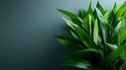 Fototapeta premium Lush Green Tropical Foliage Against a Dark Teal Background