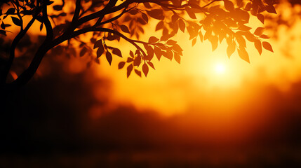 A tree with intertwined branches, representing interconnected industries, Realistic Photo Professional photography, Warm, soft directional lighting with diffused shadows,