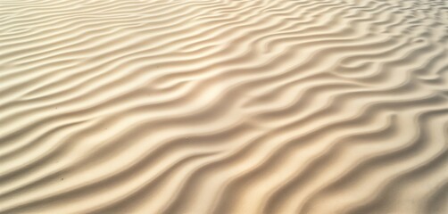 Obraz premium Relaxing view of rippled sand. Patterns of dunes show beauty of arid landscape. Texture of beach sand under summer sun. Abstract design for background or wallpaper. Calm desert scene.