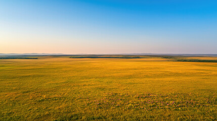 Fototapeta premium Aerial landscapes nature concept. A stunning landscape featuring vast golden fields under a clear blue sky.