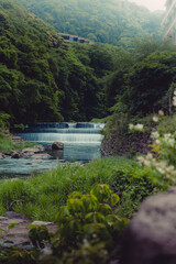 A stunning waterfall situated in the heart of a lush green Japan, Hakone, Hakone Yumoto