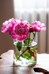 spring flowers, bouquet of pink peonies, pink peonies in a glass vase