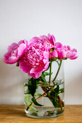 spring flowers, bouquet of pink peonies, pink peonies in a glass vase