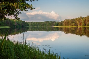 A tranquil lake mirroring fluffy clouds and lush green trees under a serene summer sky.
