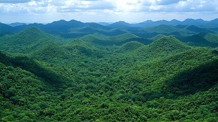 Naklejka premium Lush Green Mountains: A Serene Landscape Panorama