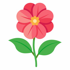 Primrose Flower vector on white background.