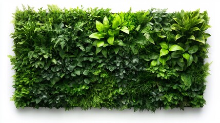 Obraz premium Vibrant Green Vertical Garden: Lush Indoor Greenery Wall Decor