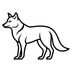 wolf vector illustration