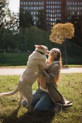 Fototapeta premium young woman walks with white dog in park. lady in beige raincoat hugs husky on green lawn. animal and human friendship. pet training, female dog handler or zoopsychologist. dog friendly
