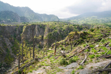 Mountain Landscape One Year After 2010 Eruption Showing Scorched Earth and Green Regrowth in Java