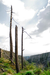 Barren Landscape of Mount Merapi One Year After the 2010 Eruption with Skeleton Trees and Cloudy