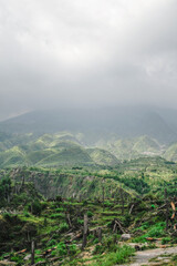 Green Landscape Of A Mountain One Year After The 2010 Eruption Captured On October 11 2011.  A year