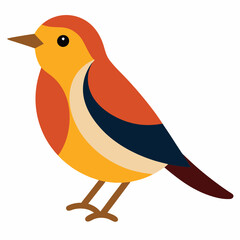 Warbler bird vector on white background.